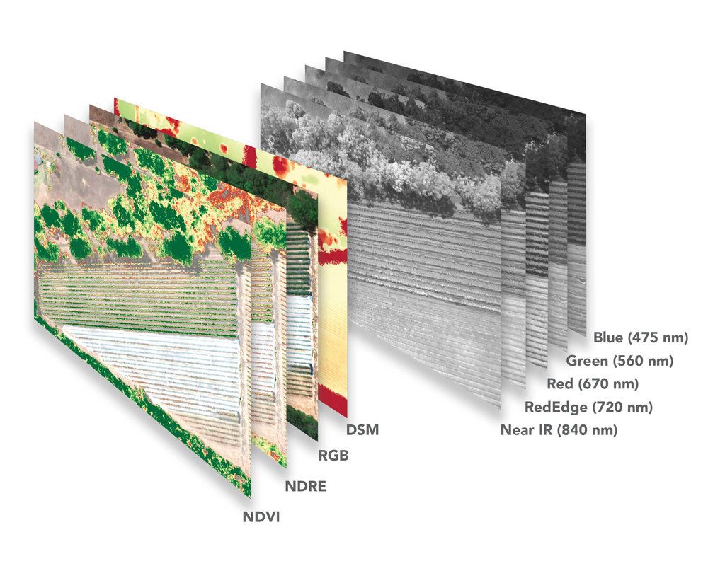 MicaSense - RedEdge-MX