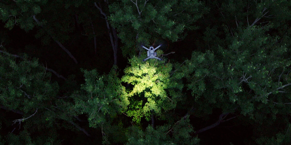 Hemflygning över skog