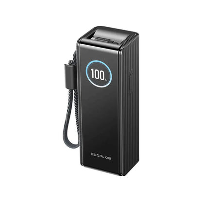 EcoFlow RAPID Inbyggda kablar (25 000 mAh 100/170W) Svart